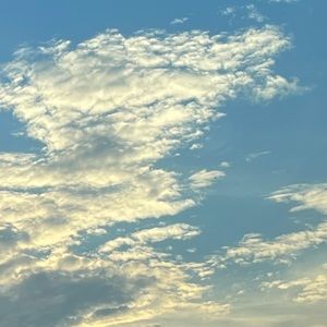 Meet your Posher, Mila